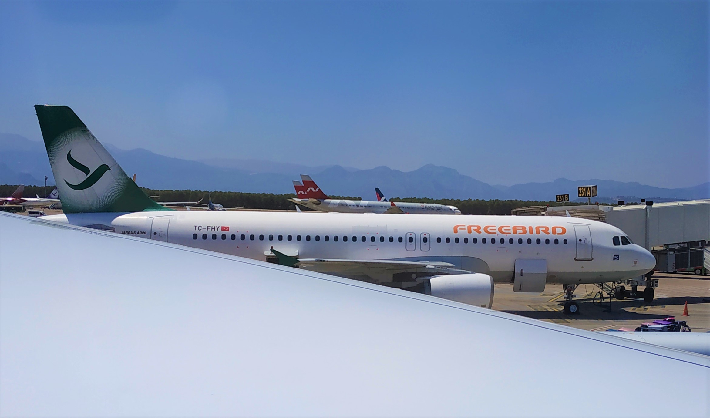 Freebird Airlines Europe Ltd hero