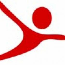 FunFlight logo