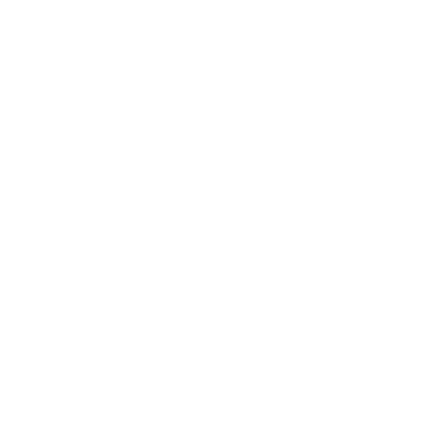 JetEx Simulation logo