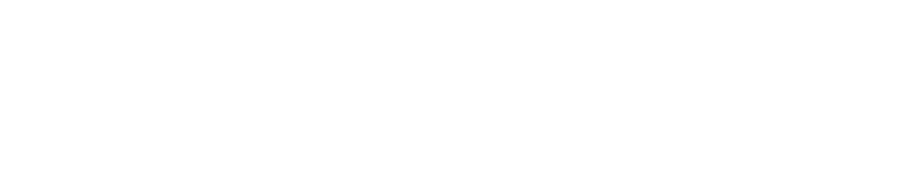 Progress Flying School logo