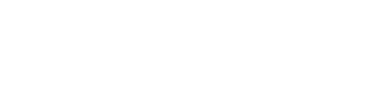 The Flight Experience logo